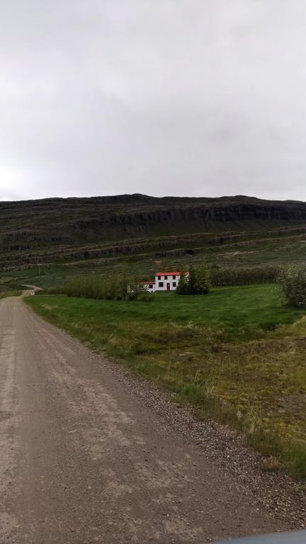 Fossardalur Guesthouse Djúpivogur Kültér fotó