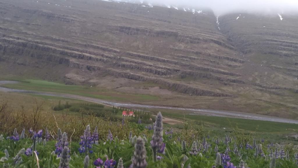 Fossardalur Guesthouse Djúpivogur Kültér fotó