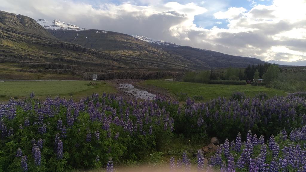 Fossardalur Guesthouse Djúpivogur Kültér fotó